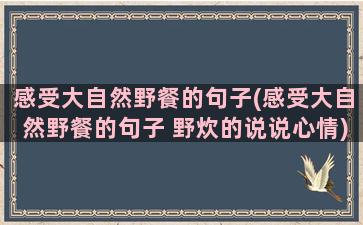 感受大自然野餐的句子(感受大自然野餐的句子 野炊的说说心情)